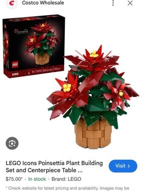 Lego Poinsettia Set